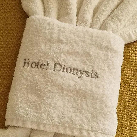 ホテル Dionysis 2*